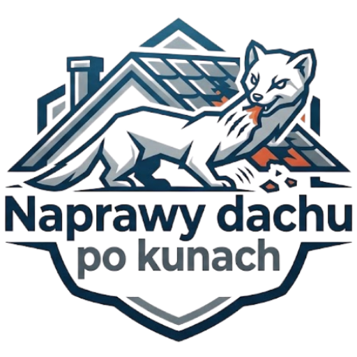 Naprawy dachu po kunach
